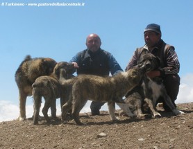 Con un pastore nomade in KAZAKISTAN